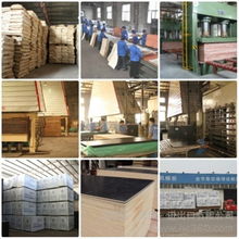 河北楊木芯建筑模板廠 建筑建材行業的優質選擇