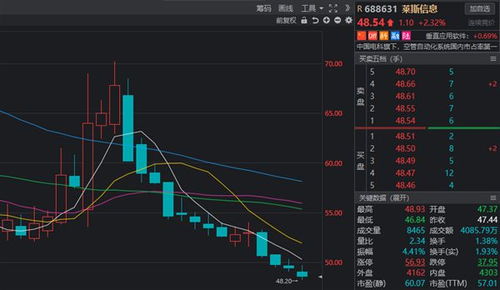 萊斯信息2024年上半年持續虧損，軟件銷售承壓成主因